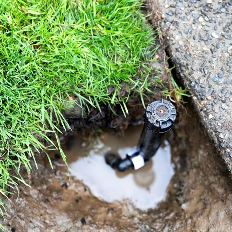 sprinkler in the dirt