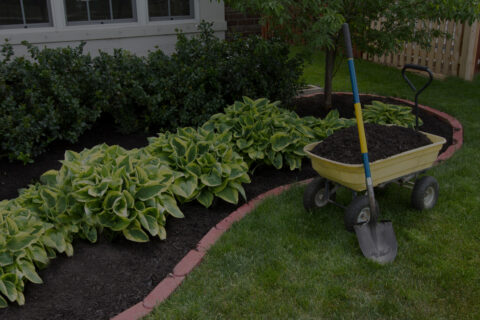 wheelbarrow and mulch